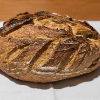 Fermento PP Bread, Bola de carne second overview