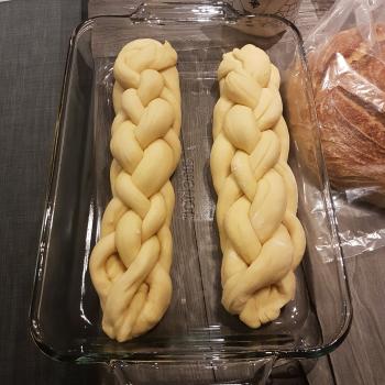 Fievel Sourdough Challah first overview