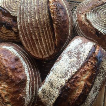 Fig & Fennel Sourdough Bread, pancakes, yorkshire pudding, quick breads second slice