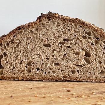 Fiona Appolonia recipe