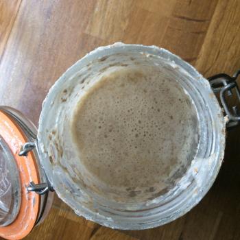 Forrest Starter recipe