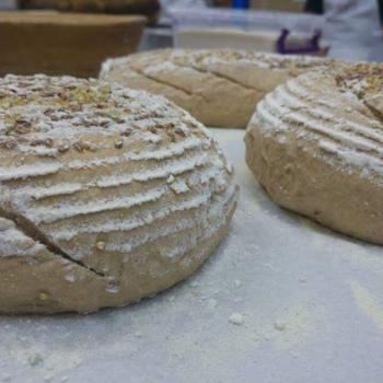Fortuna breads second overview