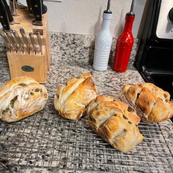 Fred Bread first overview