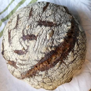 Gaia 50/50 Wholemeal & White loaf  first overview