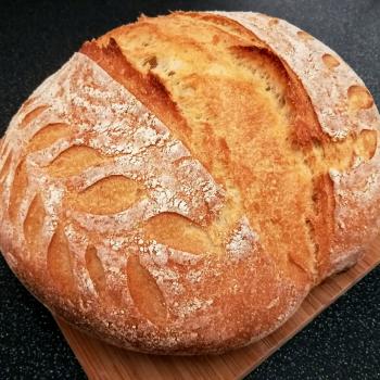 Gaia recipe