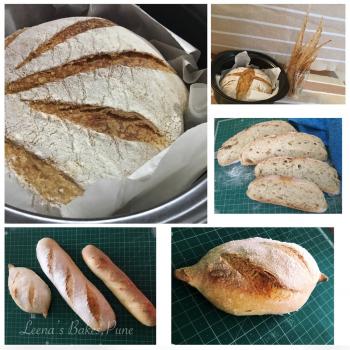 Genesis  Sourdough Boule first overview