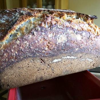 George Bread first overview