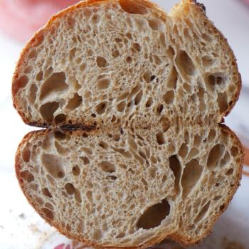 Globbie Sourdough country loaf first overview