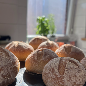 Glutenfreier Starter Brötchen first slice