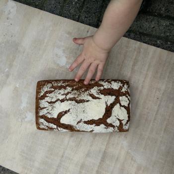 greek yogurt  bread second overview