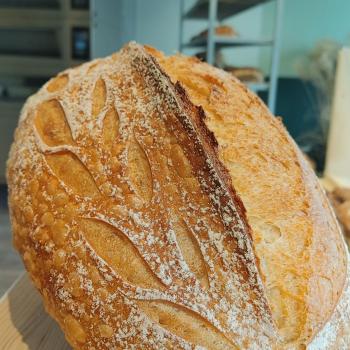 Guus white bread first overview