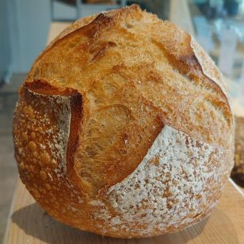 Guus white bread second overview