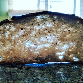 Hagrid Sourdough bread second overview