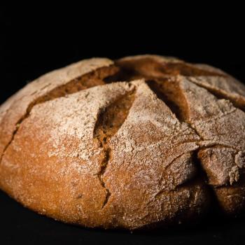 Hansel 100% Whole Wheat second overview