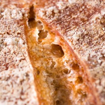 Hansel New York Rye second slice