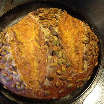 Hapa wheat Sample bakes first overview