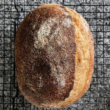 Happy Bagel second overview