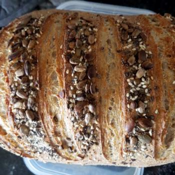 Henry Seeded breads second overview