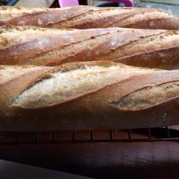 Honey Bunny Baguette second overview