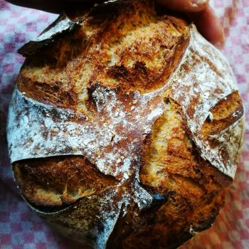 Jan II Bread first overview