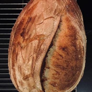 John "Crusty" Dough  first overview