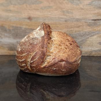 Jono's Bakery Rye Starter Jono's Bakery Sourdough Loaf first overview