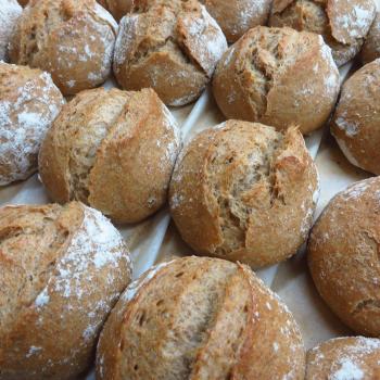 JZB-2-RM Rye Bread and Beer Bread first overview