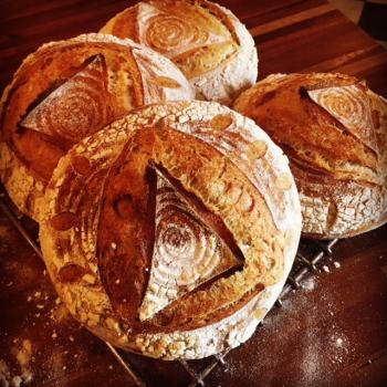 Karma Red Mountain Bread first overview