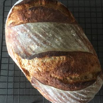 Kvasimodo Bread - Classic  first overview