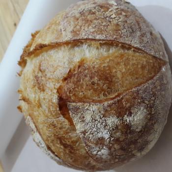LeeminKo  White Loaf first overview