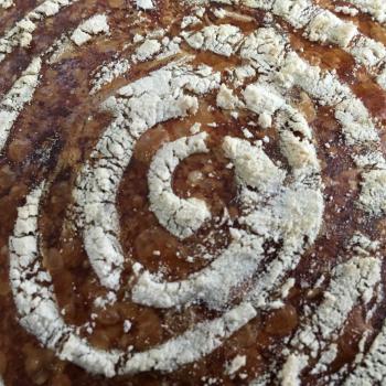 Levain on a Prayer Standard Sourdough 16hr total  second slice