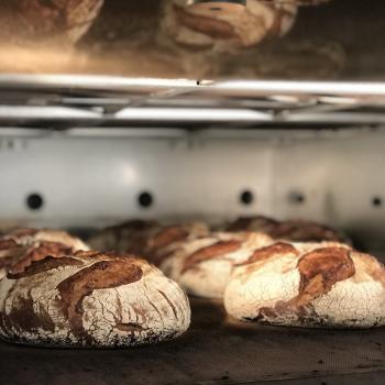 Lisa Sourdough oat second slice