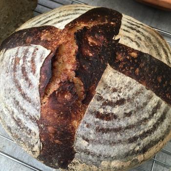 Mamaji Naturally fermented everything! second overview