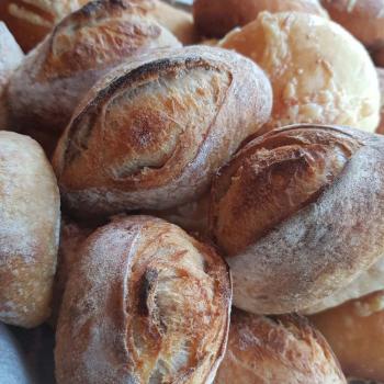 Mang Collar's Sourdough Classic Sour Dough rolls first slice