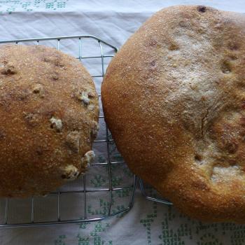 manna sourdough Noni Nawruzi or walnutbread second overview