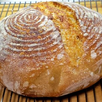 Mark's San Francisco Bay Area Bauernbrot Starter Bauernbrot first overview