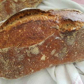 Masita Bread second overview