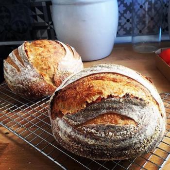 Mike's Mallorca Blend Sourdough loaf first overview
