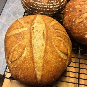 Mike's Rye Various breads second slice