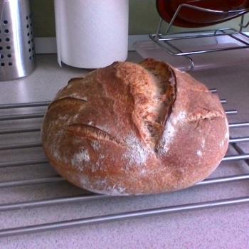 Miranda Bread first overview