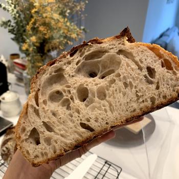 Mz. Bubblez sourdough bread first overview