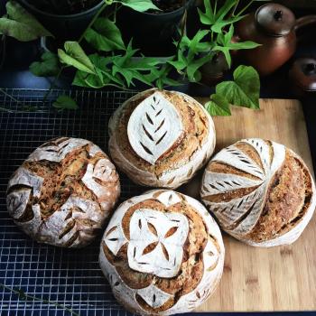 Nor-Ma Sourdough Loaves second overview