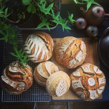 Nor-Ma Sourdough Loaves first slice