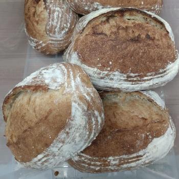 Norbert Lazarus II Flaxseed Sourdough  first overview