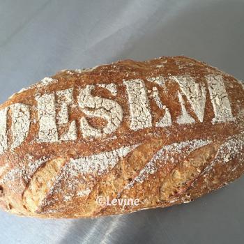 Nr 1 Sourdough bread  first overview