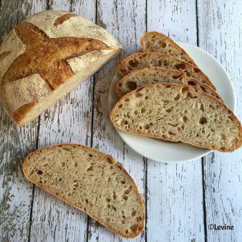 Nr 1 Sourdough bread first overview