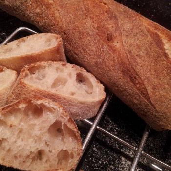 Number four Everyday bread and pizza first overview