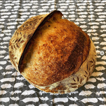 Of course I still love you Manitoba / Spelt Flour Bread first overview
