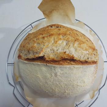 OKdrož Bread first overview