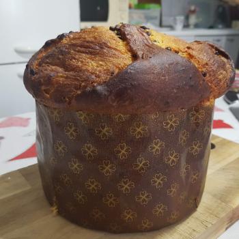 OKdrož Bread second overview